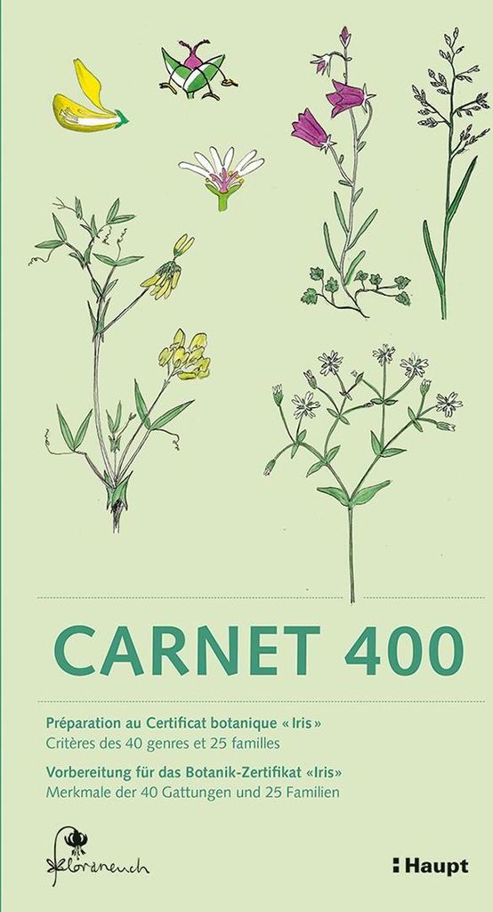Carnet 400