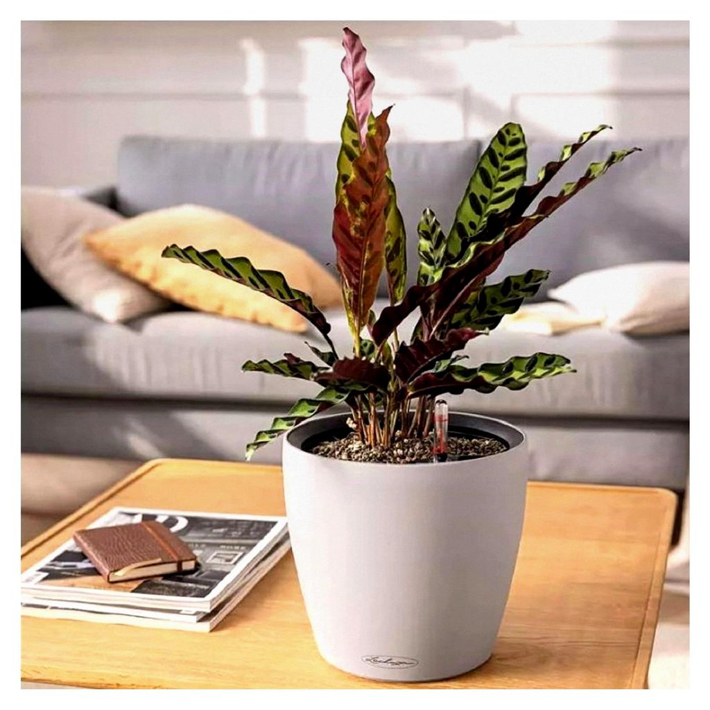 Pflanzgefäß Classico Color LS schiefergrau mit Bewässerungssystem | Ø 43 × 39 cm