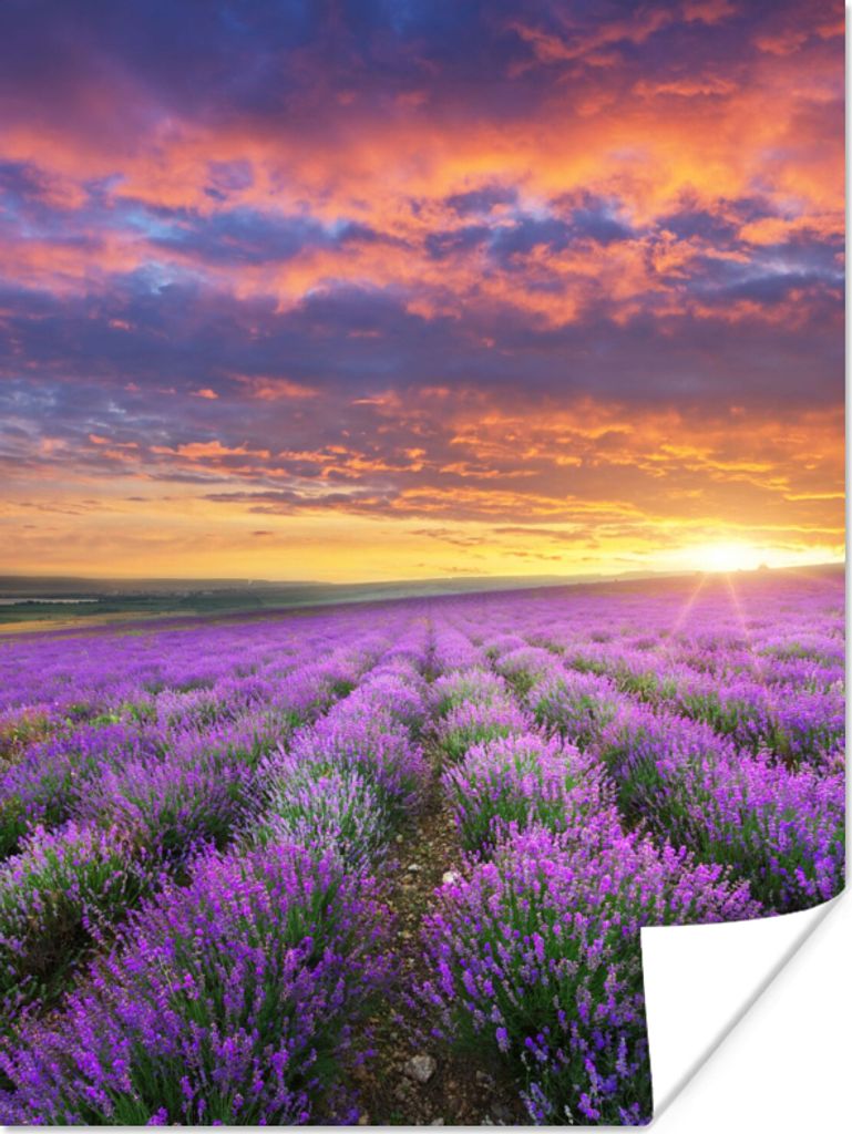 MuchoWow Poster Lavendel - Wolken - Frühling 90x120 cm - Wohnzimmer