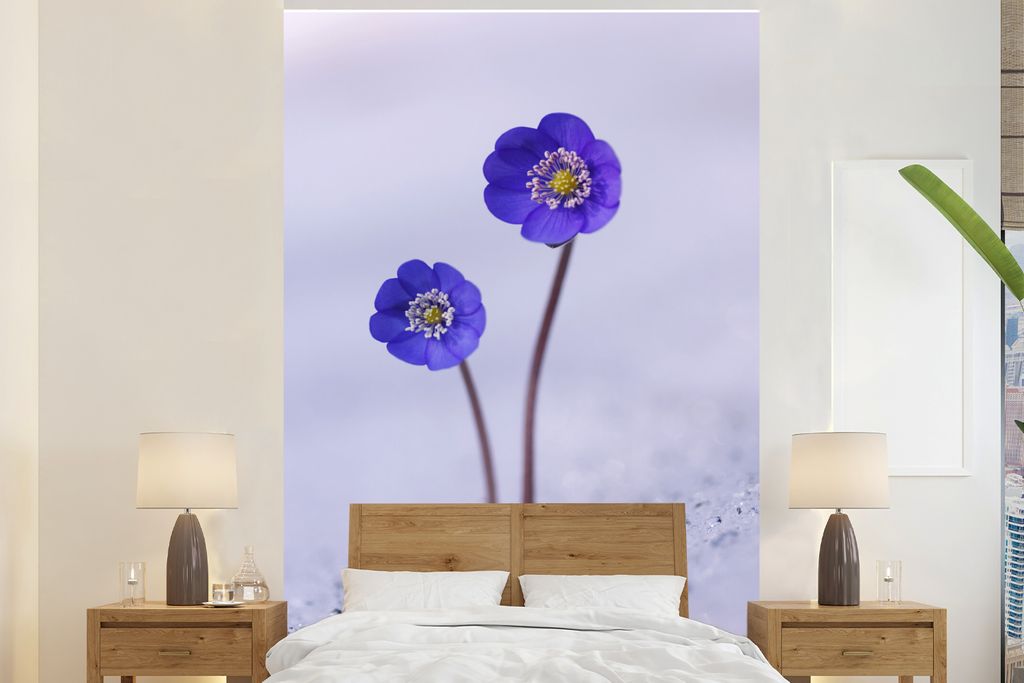 MuchoWow Fototapete für Wohnzimmer oder Schlafzimmer Wandtapete Vinyl Motivtapete Blumen - Schnee - Lila - 155x240 cm - Tapete