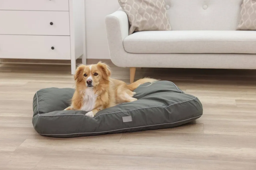 Matelas pour grand chien 100x70 cm Kerbl Jerome idéal pour sol carrelé