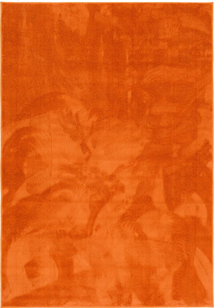 Luxus Super Soft Hochflor Langflor Teppich Deluxe, Größe:160x240 cm, Farbe:Orange