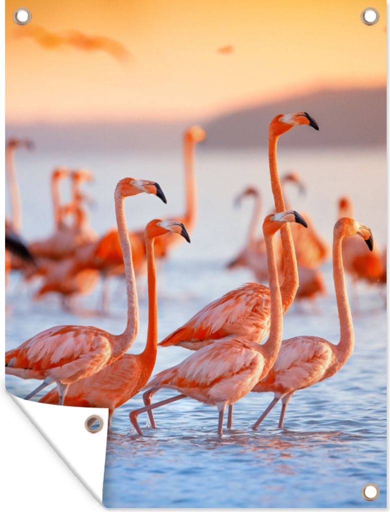 MuchoWow 60x80 cm Outdoor-Poster Gartendeko Sichtschutz Garten Poster für den Garten Flamingo - Tiere - Wasser - Rosa