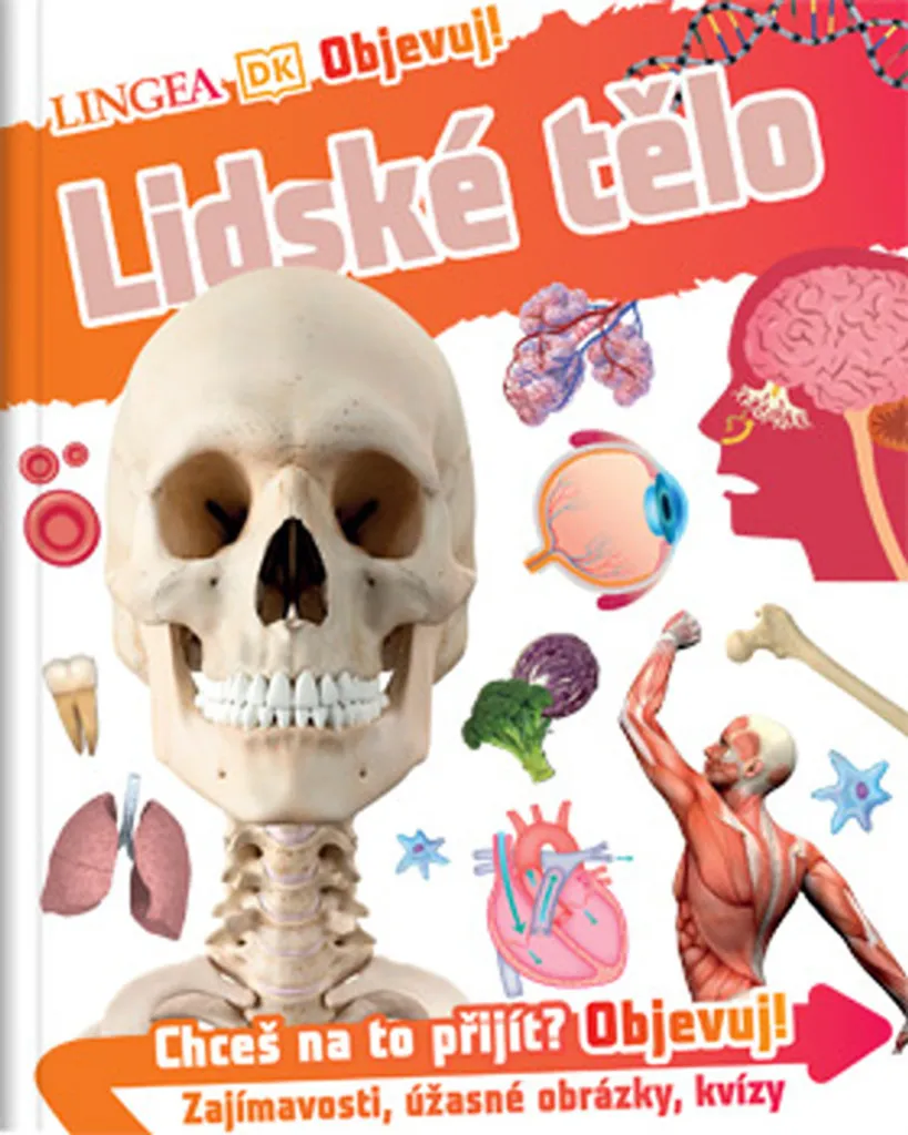 Livre anatomie enfant pour découvrir le fonctionnement du corps