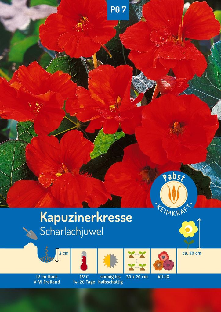 Artikelbild 1 von 'Kapuzinerkresse Scharlachjuwel' aus der Kategorie Kapuzinerkressesamen