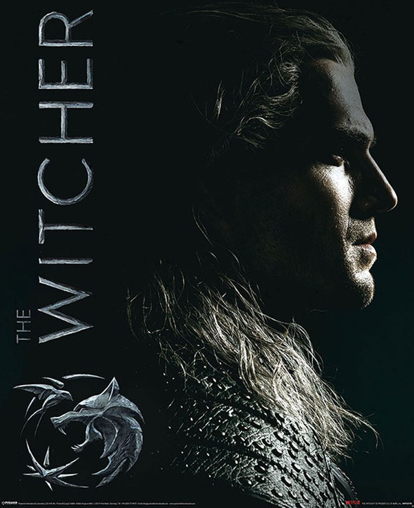 Witcher, The Mini-Poster Shadows Embrace