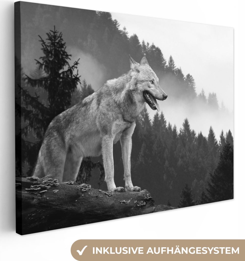 MuchoWow - Leinwandbilder - Wolf - Wald - Schwarz - Weiß, Wandbild, Wanddeko Bilder Wohnzimmer, 80x60 cm