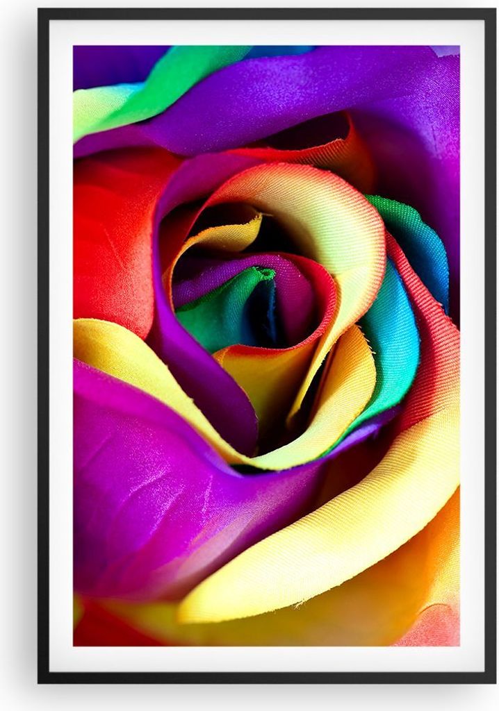 Gerahmtes Poster - Schwarzer Rahmen - Blume Farbe Rose - 61x91,5 cm - Wand Bild - Wanddeko - Wandbilder - Kunstposter - Wandposter - Bilderrahmen -...