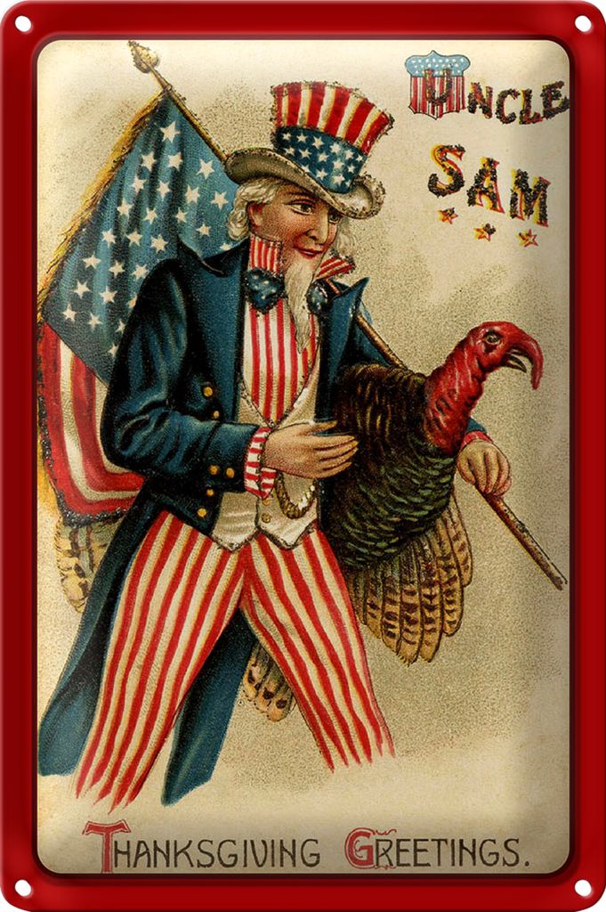 Blechschild Weihnachten Amerika Truhthahn Winter 18x12cm