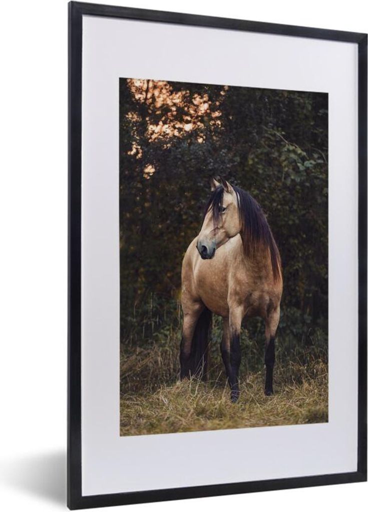 MuchoWow Gerahmtes Poster Pferd - Braun - Gras 40x60 cm - Poster mit Schwarzem Bilderrahmen Wandposter Rahmen Foto Bilder - Poster in Rahmen