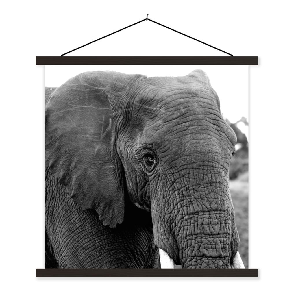 MuchoWow Textilposter Elefant - Tiere - Schwarz - Weiß - Natur 90x90 cm mit schwarzem Rahmen - Magnetisches