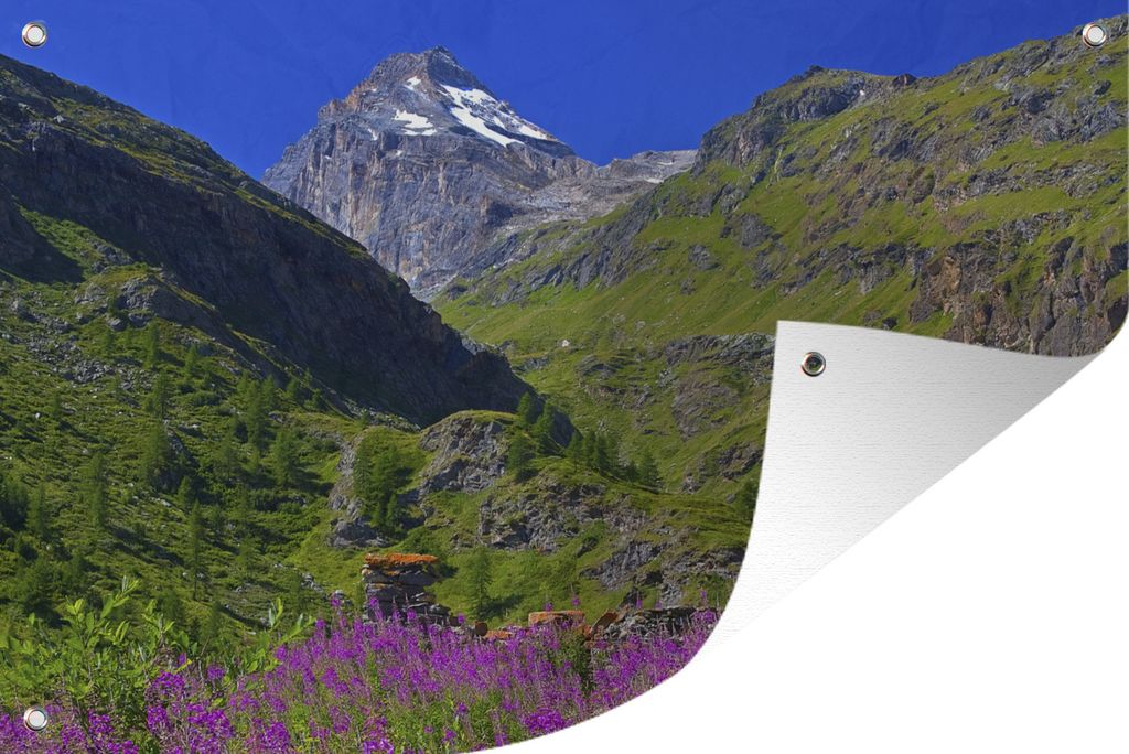 MuchoWow 60x40 cm Outdoor-Poster Gartendeko Sichtschutz Garten Poster für den Garten Lila Blumen im italienischen Nationalpark Gran Paradiso