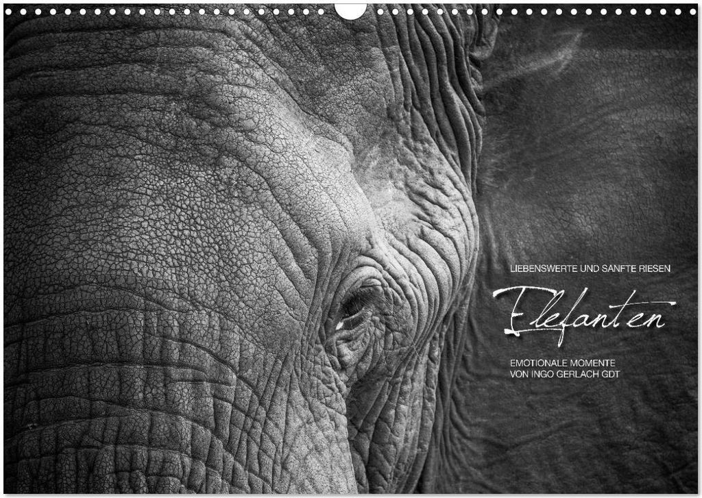 Emotionale Momente: Elefanten in black & white (Wandkalender 2026 DIN A3 quer), CALVENDO Monatskalender