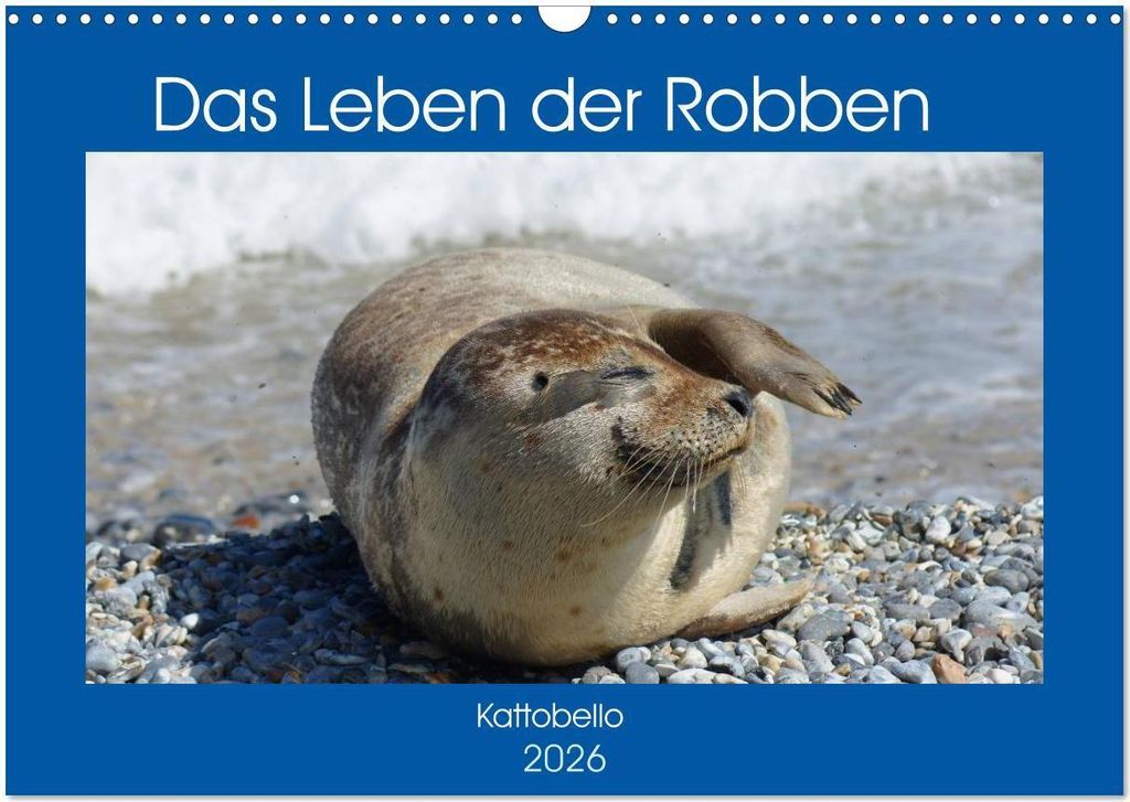 Das Leben der Robben (Wandkalender 2026 DIN A3 quer), CALVENDO Monatskalender