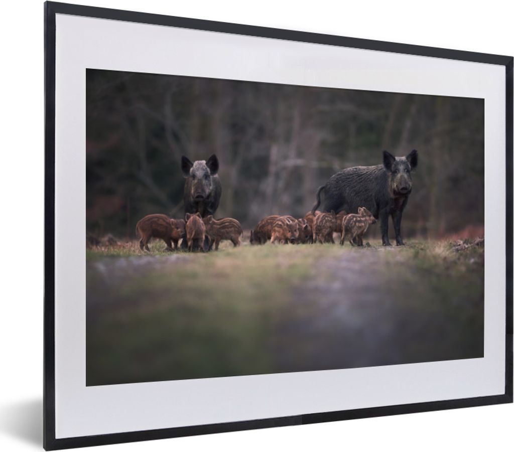 MuchoWow MuchoWow Gerahmtes Poster Tier - Wildschwein - Wald 40x30 cm - Poster mit zchwarzem Bilderrahmen - Bilderrahmen - Poster im Rahmen