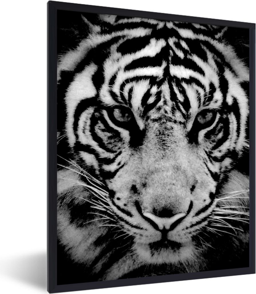 MuchoWow MuchoWow Gerahmtes Poster Sumatra-Tiger vor schwarzem Hintergrund in schwarz und weiß 30x40 cm - Poster mit zchwarzem Bilderrahmen - ...