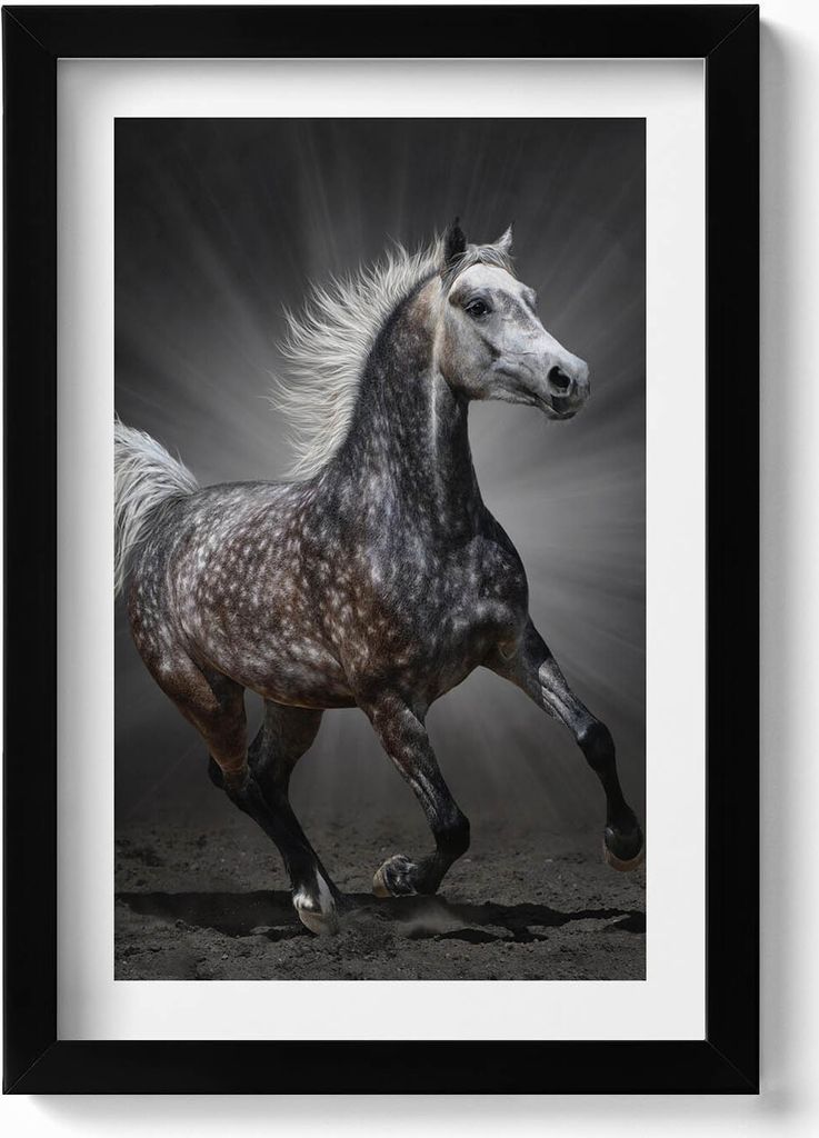 Galoppierendes Pferd– Wandbild mit Rahmen – Gerahmtes Bild – Wanddekoration – 20x30 cm – Schwarz
