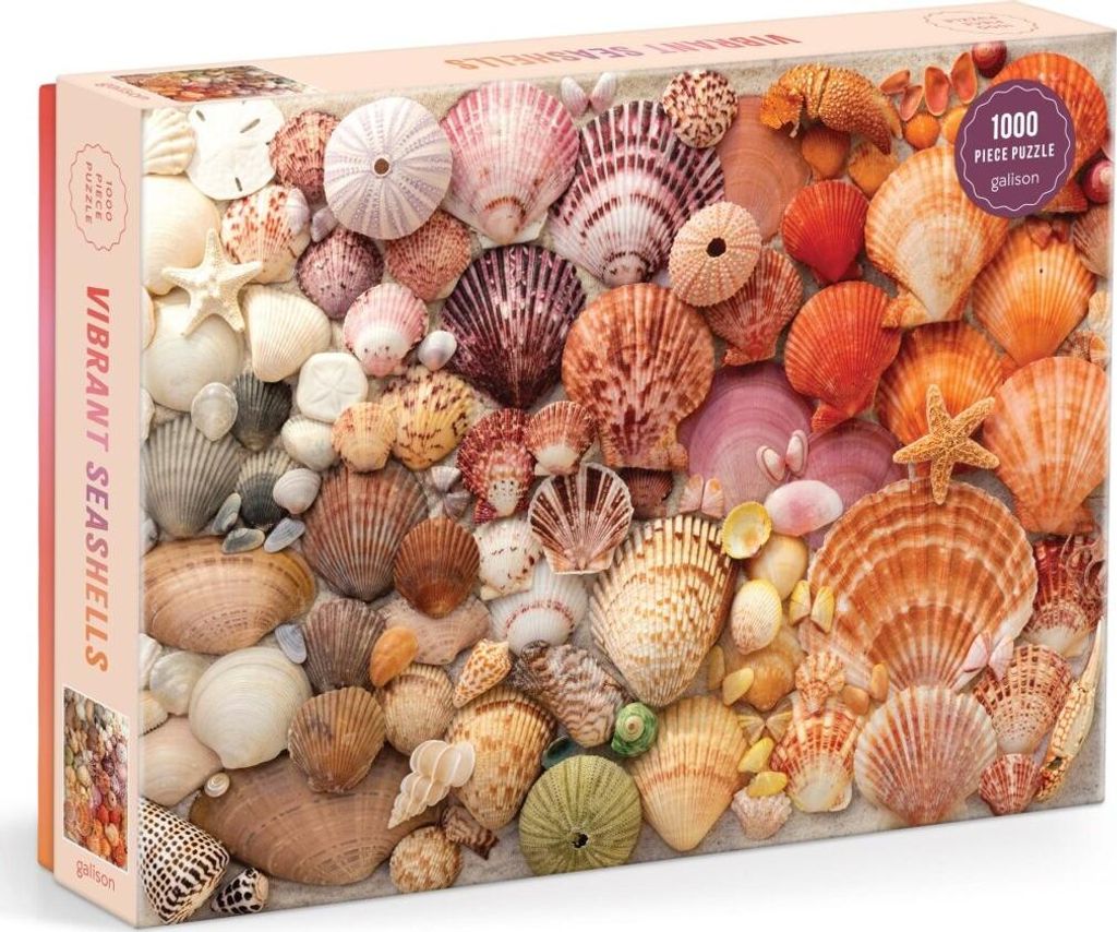 GALISON Puzzle Muscheln 1000 dlc