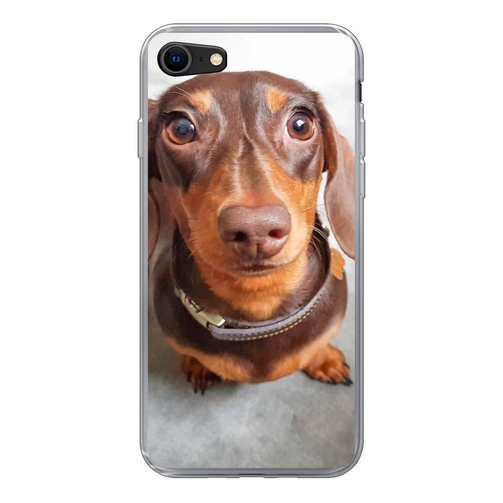 MuchoWow Handyhülle Schutzhülle Hülle für iPhone SE 2020 Nahaufnahme des Kopfes eines Dackels Silikon Softcase Handy Hülle - Kartenbesitzer