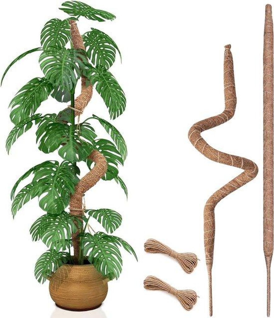 Famanu Mosstok 70 cm – Flexibel und stabil für Monstera und große Zimmerpflanzen