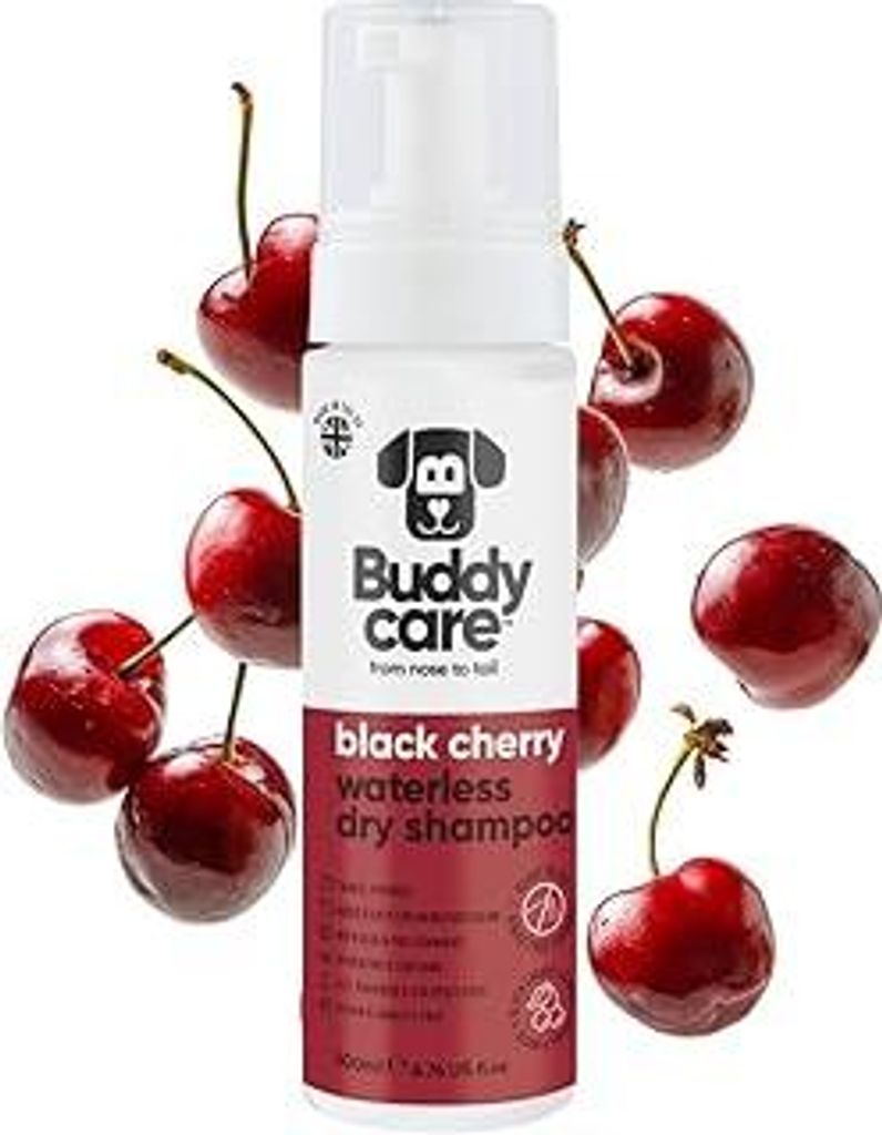 Buddycare Wasserloses Trockenshampoo für Hunde (200 ml) – Black Cherry Duft, für empfindliche Haut, natürliches Hunde-Trockenshampoo ohne Auss...