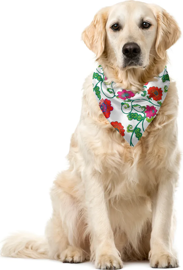 Foulard Cani ABAKUHAUS 55cm - Motivo Floreale Primavera Multicolore