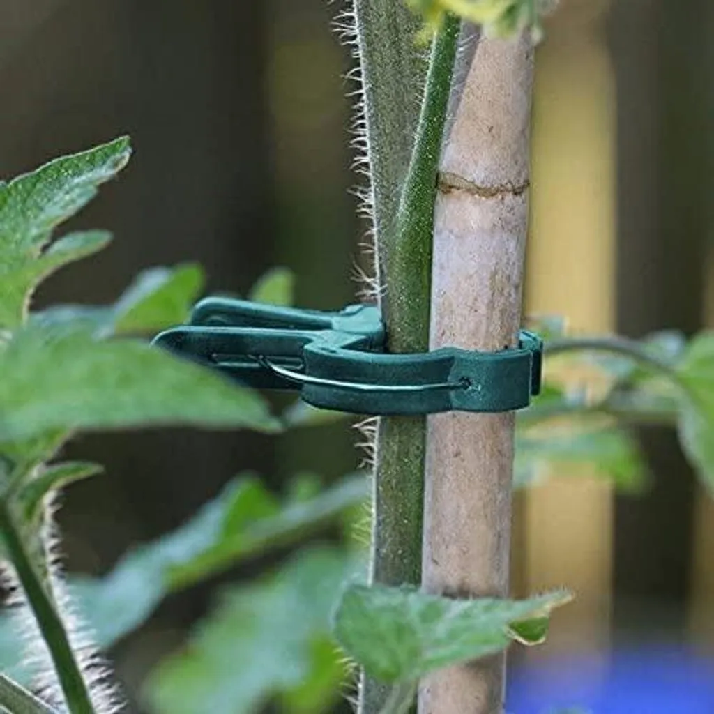 Tuteurs pour plantes cassantes : évitez la rupture des tiges au jardin