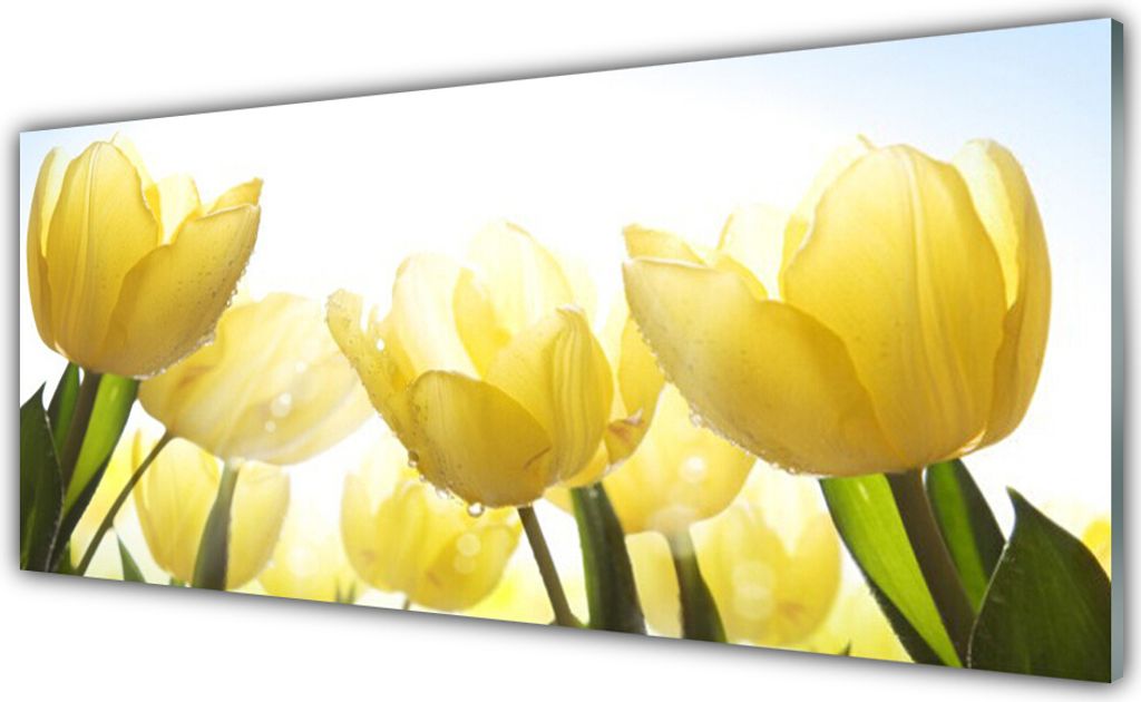 Acrylglasbilder 125x50 Wandbild Druck Tulpen Pflanzen Produktbild 