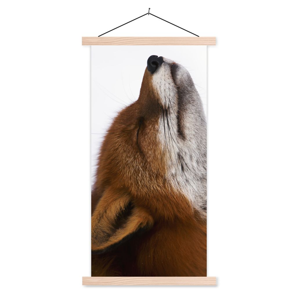 MuchoWow Textilposter Fuchs - Nase - Weiß 40x80 cm mit holzfarbenen Rahmen - Wohnzimmer