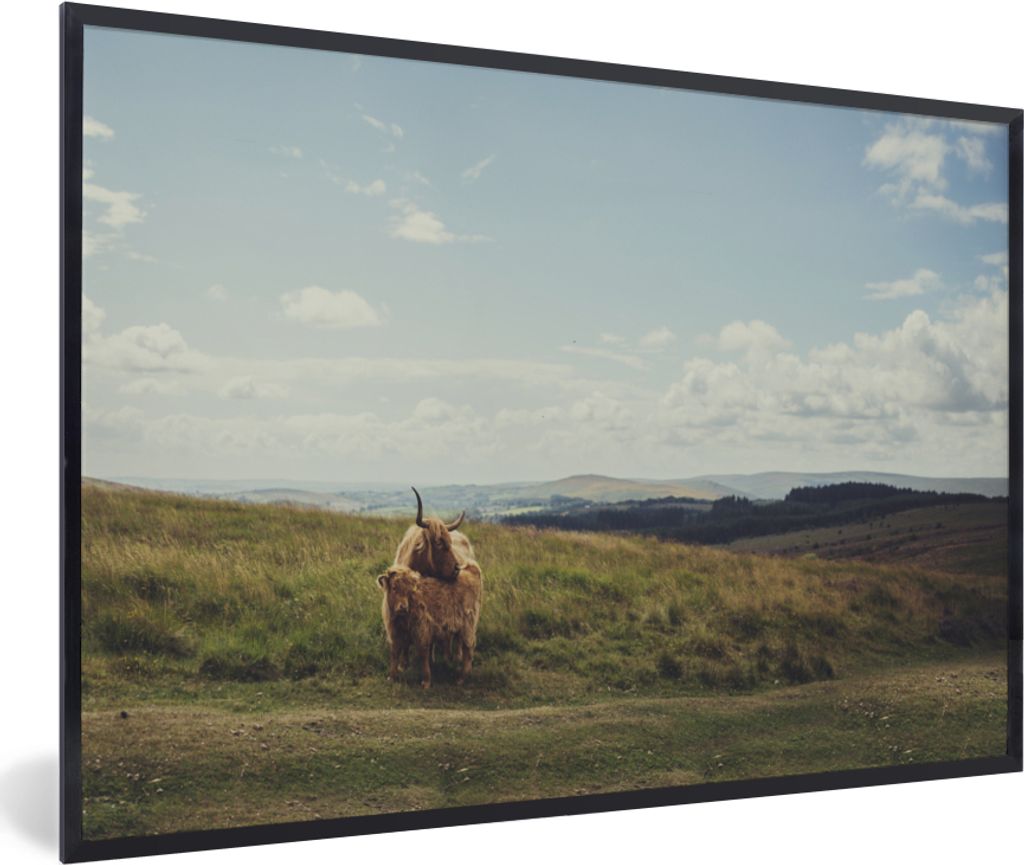 MuchoWow Gerahmtes Poster Schottische Highlander - Gras - Wolken - Tiere 60x40 cm - Poster mit Schwarzem Bilderrahmen Wandposter Rahmen Foto Bild...