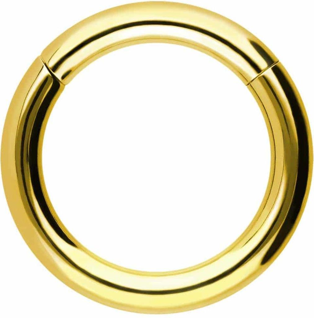 Ohrpiercing, Nasenpiercing, Septum Piercing Chirurgenstahl Segmentring Clicker Gold Innendurchmesser: 20mm + Stabstärke: 4mm