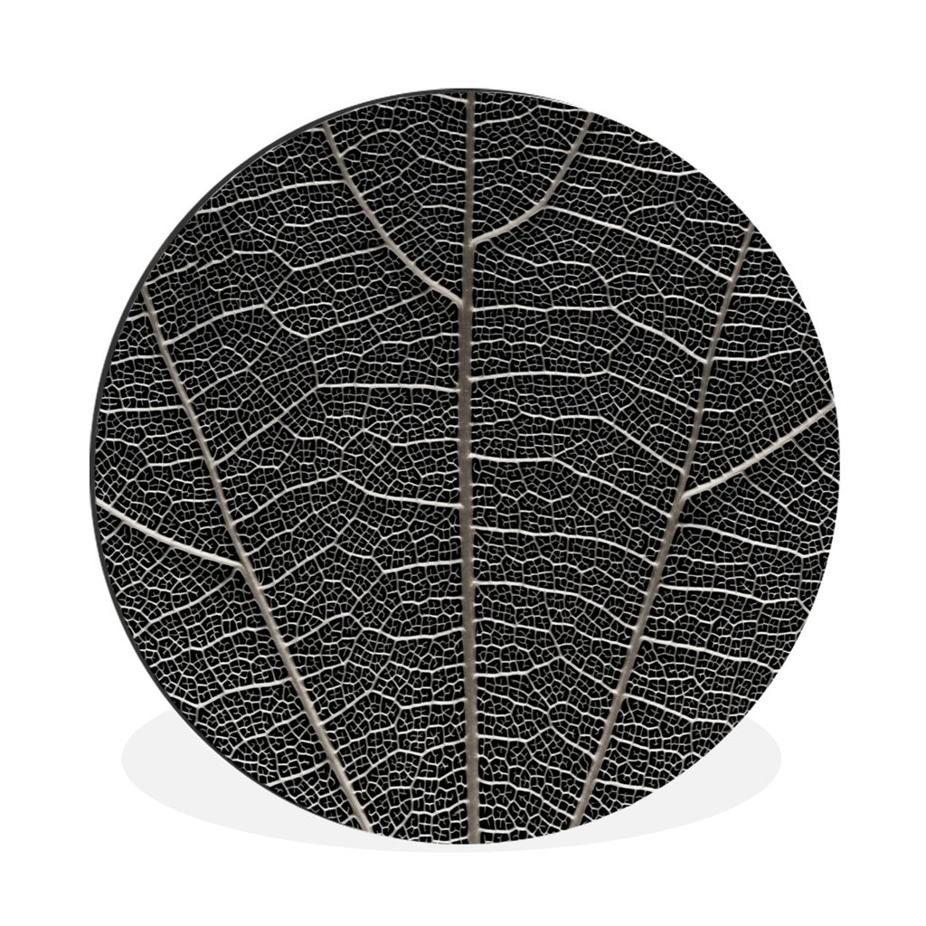 MuchoWow Aluminium Wandkreis Weißes Skelett eines großen Blattes Ø 90 cm Wanddeko Modern Wohnzimmer - Mauerkreis - Wandbilder - Runde Bild - B...