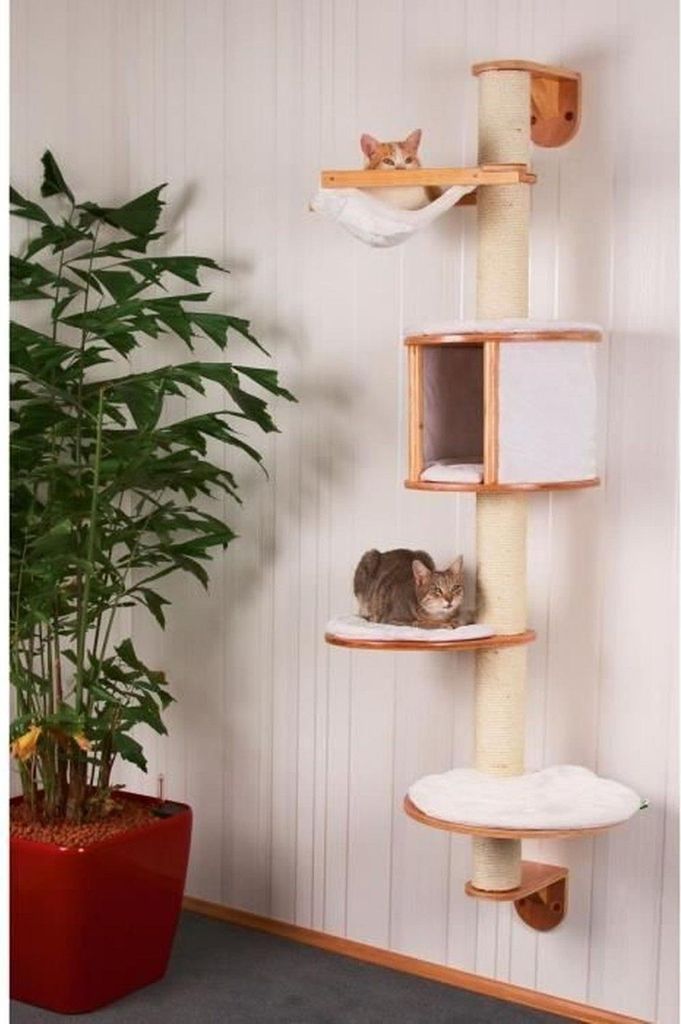 A cat tree is placed next to a large potted plant in a room with striped wallpaper.