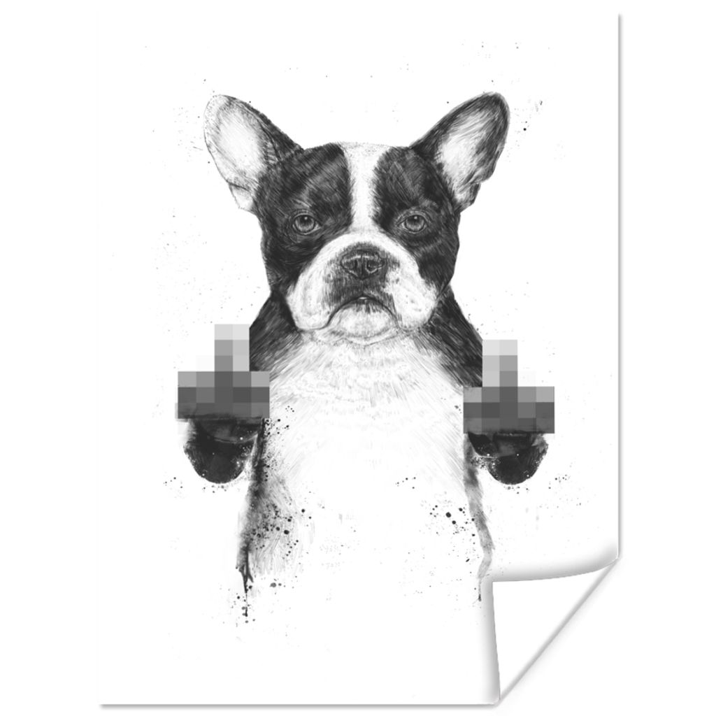 MuchoWow Poster Hund - Tier - Finger - Weiß 120x160 cm - Wandbilder