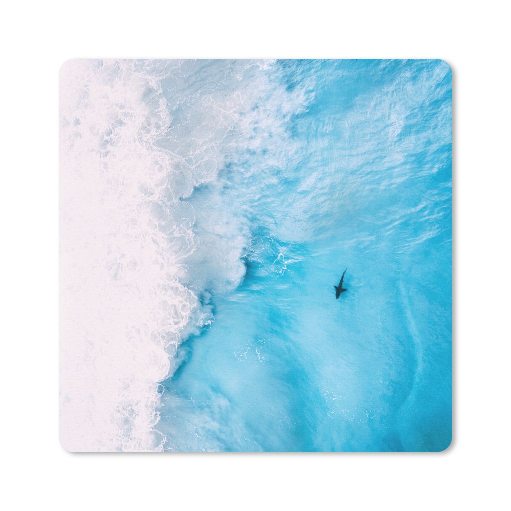 MuchoWow Mauspad Mousepad Tiere - Meer - Schaum 20x20 cm - Mousepads - Maus Mat - Pad - Mausunterlage - Desk Mat - Bureauartikeln