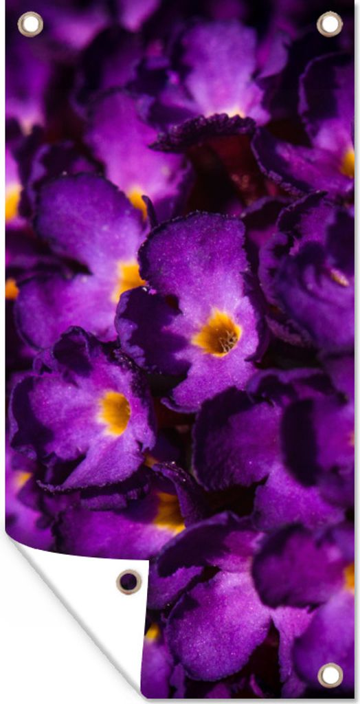 MuchoWow 40x80 cm Outdoor-Poster Gartendeko Sichtschutz Garten Poster für den Garten Beleuchtete Schmetterlingsstrauchblüten