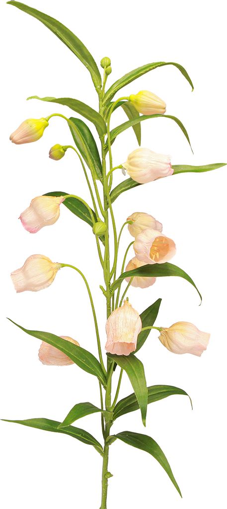 Laternenlilie Kunstblume Apricot 90cm Dekoration 2St
