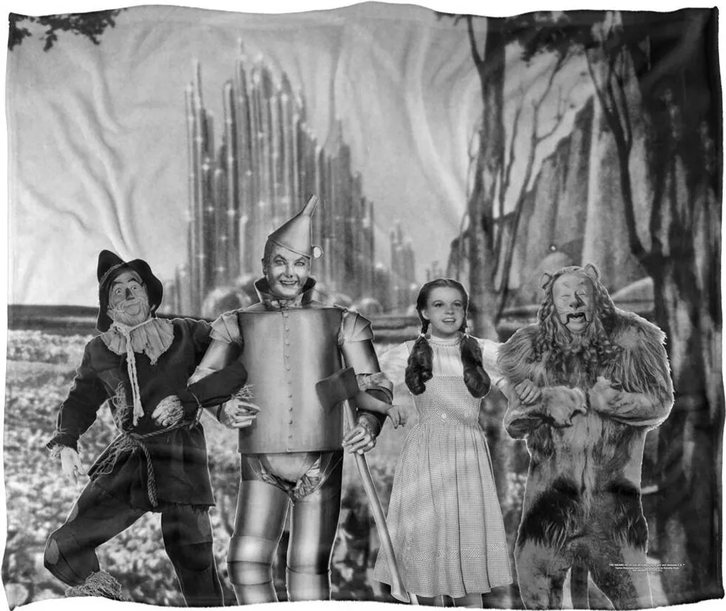 Plaid The Wizard Of Oz TV19326 : Fini le Froid avec Style et Confort
