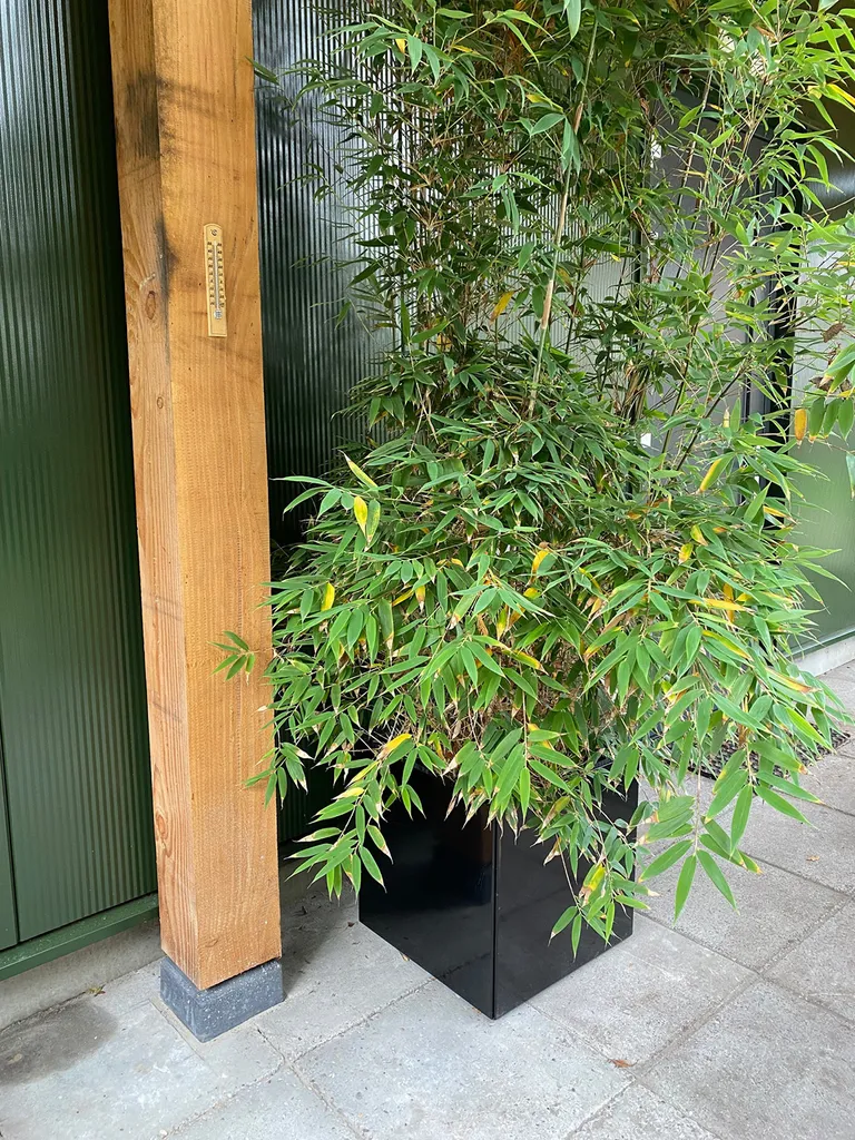 Jardinière carrée en métal noir 40cm - Bac à plantes extérieur durable