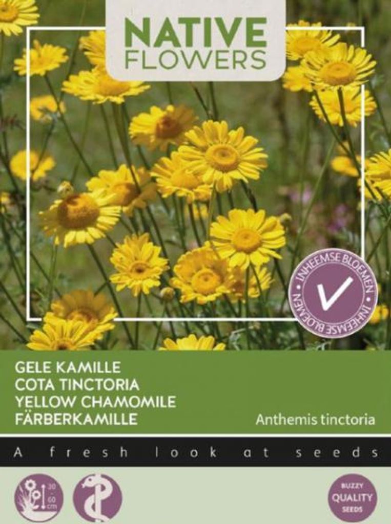 Färberkamille | Kamillesamen von Buzzy Seeds Produktbild 