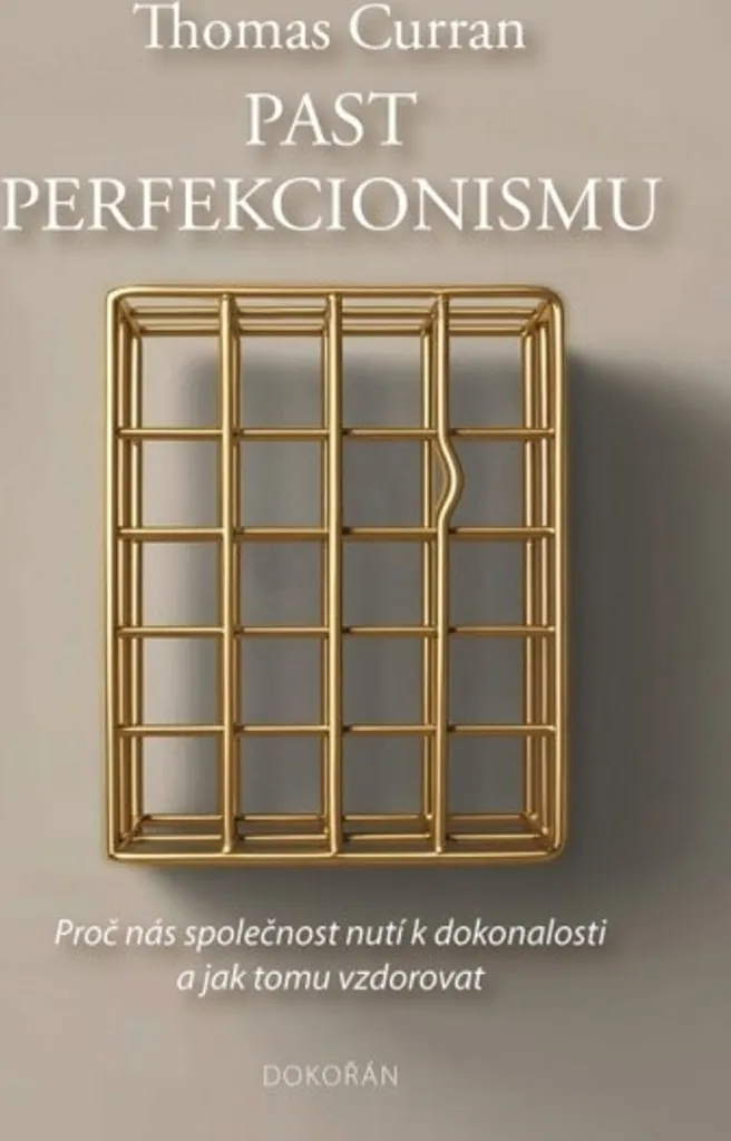 Past perfekcionismu : Méthode concrète en 10 étapes contre le stress mental