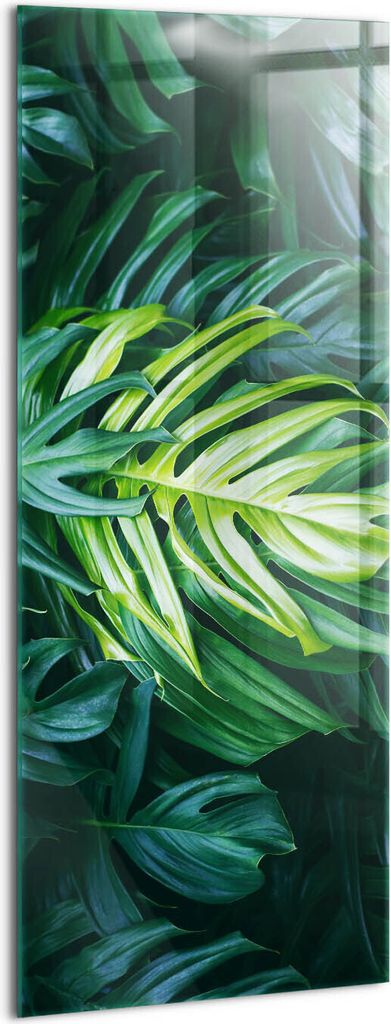Designer Glasbild - Wandbild - Glas Bild - 50x125 cm - Wilde Monstera-Blätter