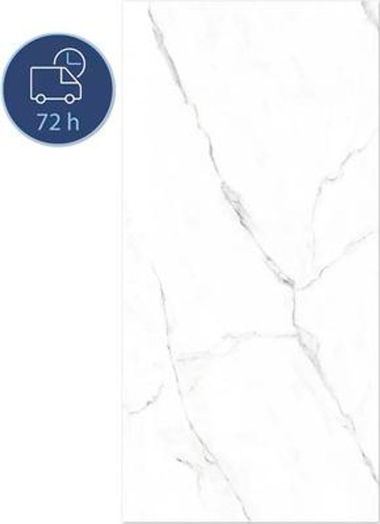 Duschrückwand BREUER Express Q72 Hochglanz Marmor weiß 255 x 100 cm 1413549000203