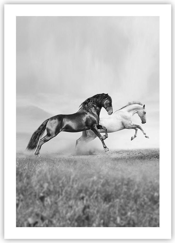 Poster - Poster ohne Rahmen - Pferde Tiere Galopp Wiese - 50x70 cm - Wand Bild - Wanddeko - Wandbilder - Kunstposter - Wandposter - Bilder - Kunstd...