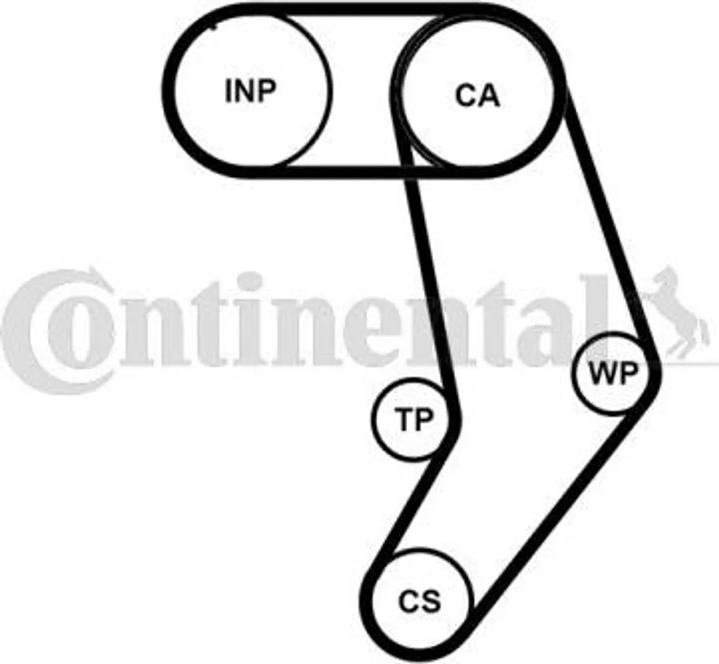 Pompe à eau et kit de courroies OE pour moteur Transporter IV CT939WP10PRO