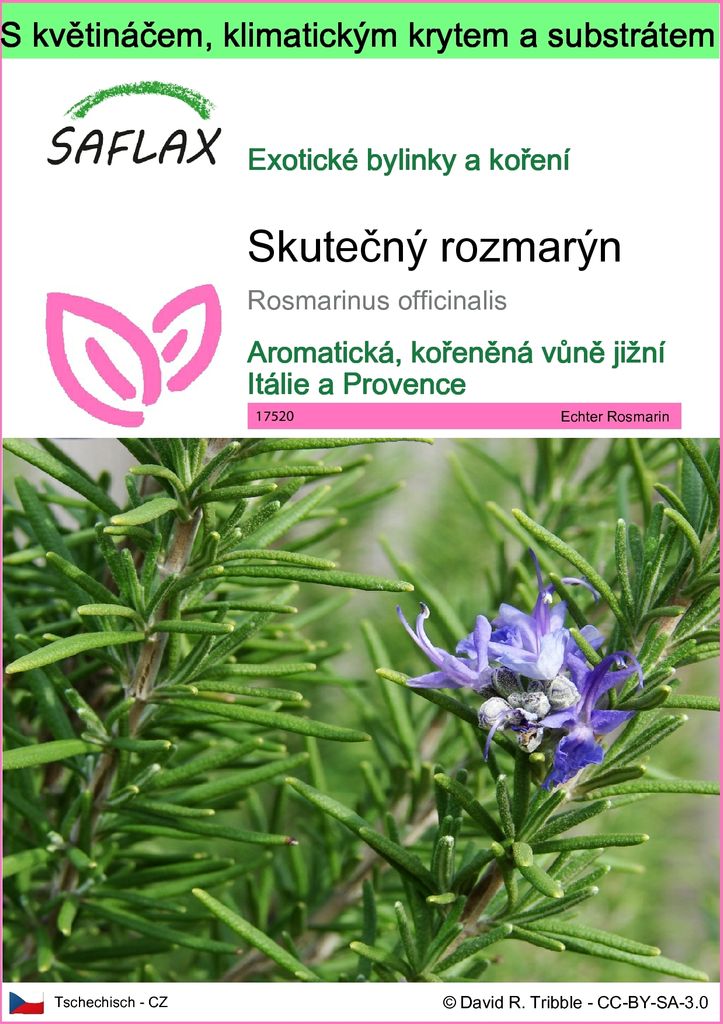 SAFLAX Garden to go - Skutečný rozmarýn - Rosmarinus Obrázek produktu 