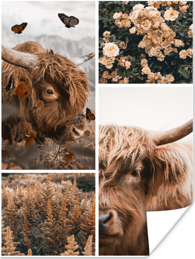 MuchoWow Poster Schottischer Hochländer - Schmetterling - Blumen 60x80 cm - Schlafzimmer Dekoration