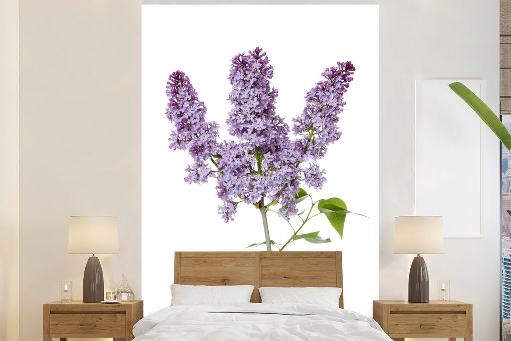 MuchoWow Fototapete für Wohnzimmer oder Schlafzimmer Wandtapete Vinyl Motivtapete Fliederzweig in Blüte auf weißem Hintergrund - 145x220 cm - ...