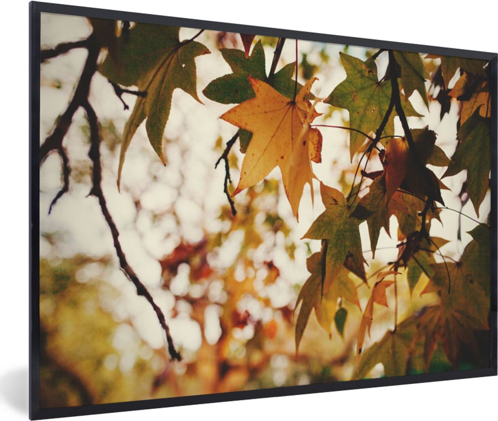 MuchoWow Gerahmtes Poster Natur - Herbstlaub - Rustikal 30x20 cm - Poster mit Schwarzem Bilderrahmen Wandposter Rahmen Foto Bilder - Kunstdruck -...