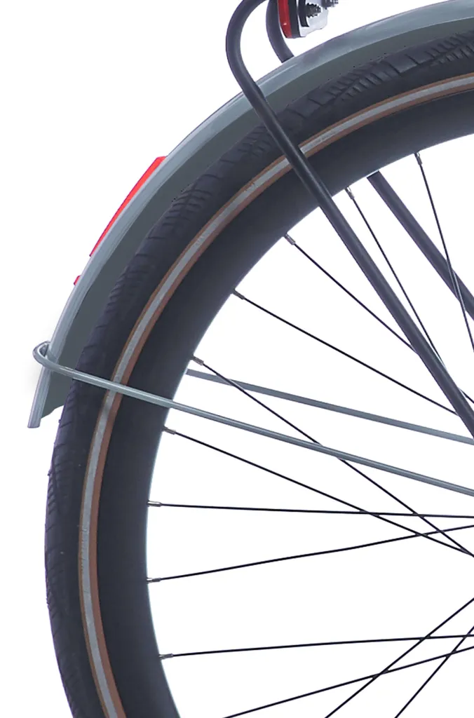 Accessoire vélo Cortina Mozzo 28 pouces aile arrière style naturel